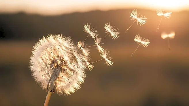 A Wish Come True's Weekend for Wishes Fundraiser Supports Ill Children in Swansea and Somerset