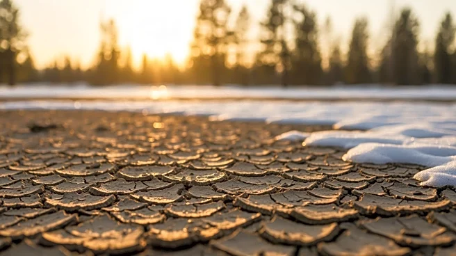 California Faces Low Snowpack as Warm Winter Impacts Water Supply
