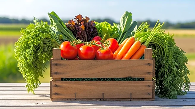 Home Grown Farm Market Enhances Local Agriculture and Food Access in Lexington Park