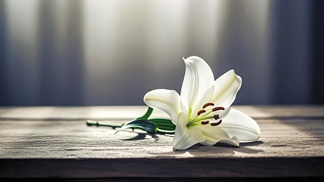 Renee Good's Family Expresses Grief and Sacrifice After Her Death by ICE Agent