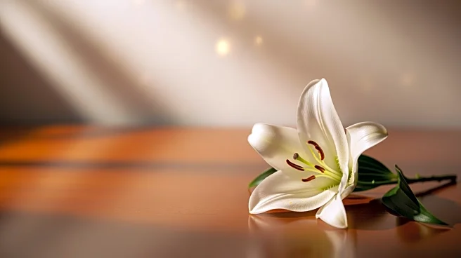 Joseph Velisek Jr. Passes Away at 66, Funeral Services Announced