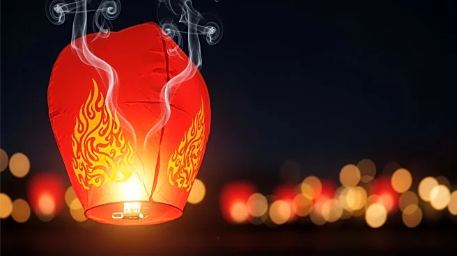 New York City Celebrates 28th Lunar New Year Parade Marking 'Year of the Fire Horse'