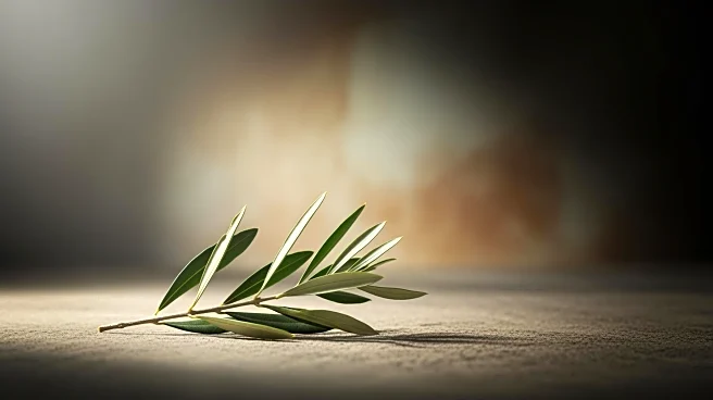 Iranian Opposition Leader Discusses Future Amidst Conflict