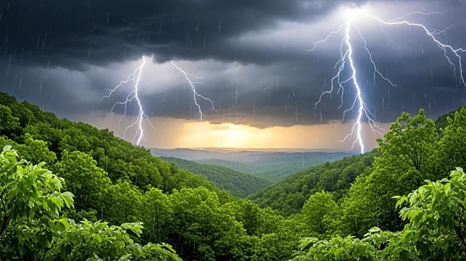 Thunderstorms Provide Relief in Battle Against Expanding Big Cypress Wildfire