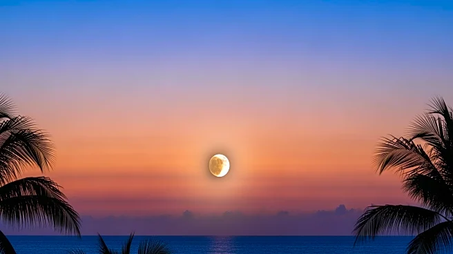 South Florida Prepares for Warmer Weather and Rare Lunar Eclipse