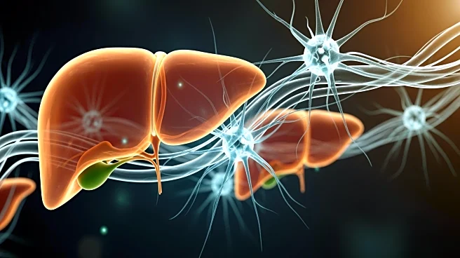 Feinstein Institutes Unveil Early Brain Warning Signs in Liver Damage Research