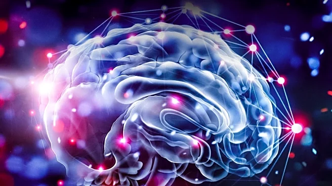 Superagers Exhibit Enhanced Neurogenesis, Study Finds