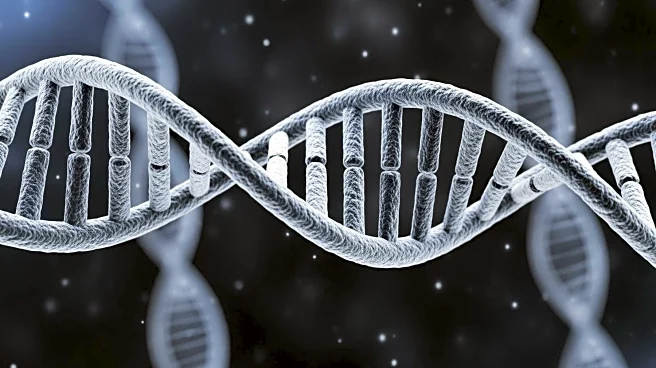 Non-Coding Genome in Nail-Patella Syndrome: Genetic Diagnosis Guides Personalized Follow-Up