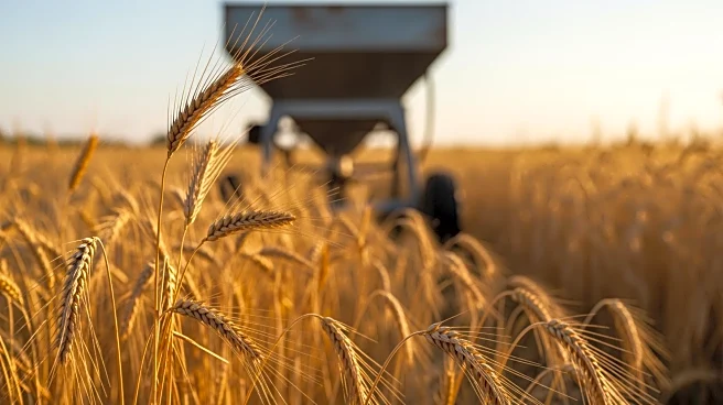 Iranian Conflict Threatens to Increase Fertilizer Costs for U.S. Farmers