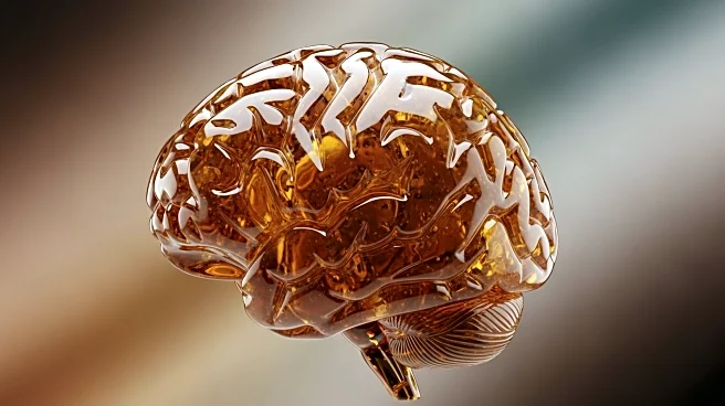 Research Links Amygdala Size to Social Tolerance in Macaques, Offering Insights into Brain Function