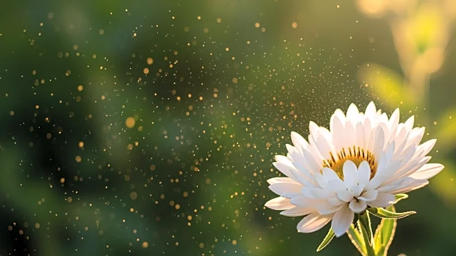 Climate Central Study Reveals Longer Allergy Seasons Impacting U.S. Residents