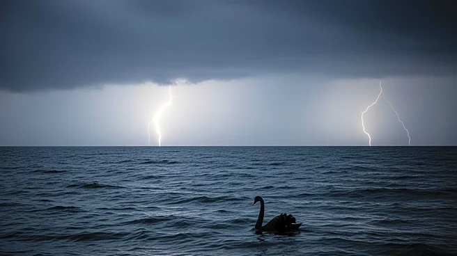 Geopolitical Instability Heightens Concerns Over Black Swan Events