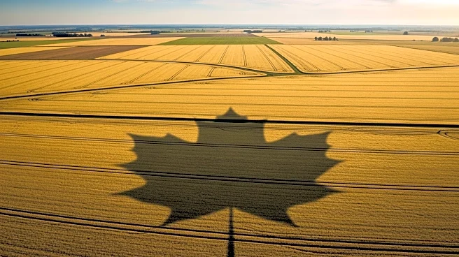 Canada Emerges as Largest Foreign Holder of U.S. Farmland, Raising Concerns