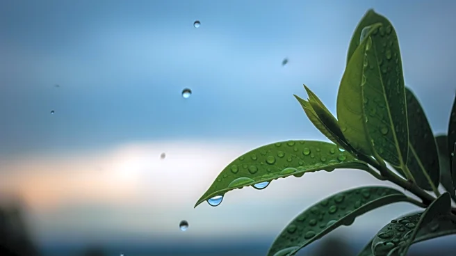 Maryland Prepares for Rainy Weather Before Warmer Conditions Arrive