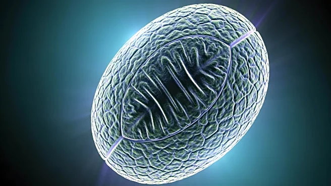 New Research Unveils Pathway for Effective Malaria Vaccine Targeting Plasmodium vivax