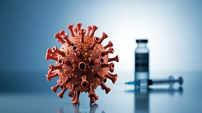 Clinton County Teenager Dies from Flu, Health Officials Urge Vaccination