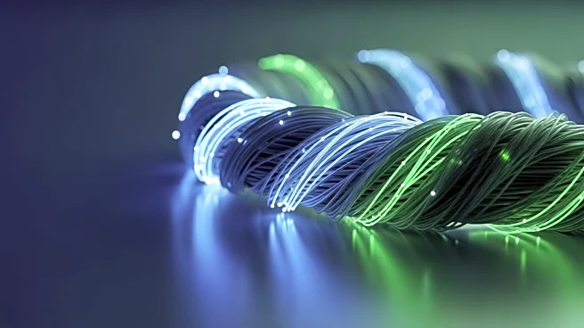 30 Years of the Telecom Act: Challenges and Progress in Digital Equity