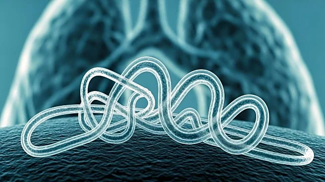 Rat Lungworm Disease Detected in San Diego County, Raising Health Concerns