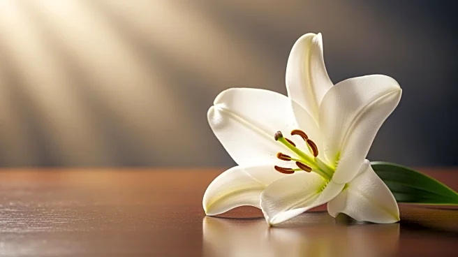 Former Congresswoman Colleen Hanabusa Passes Away at 74 After Cancer Battle