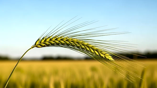 Saskatchewan Agriculture Literacy Month Engages Students in Farming Education