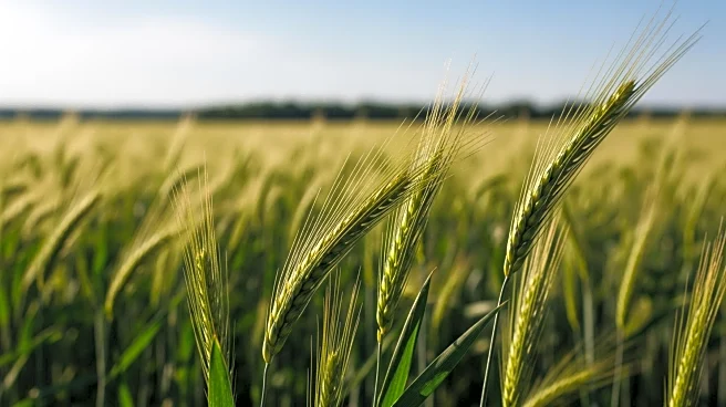 House Agriculture Committee Advances Farm Bill to Address Modern Agricultural Needs