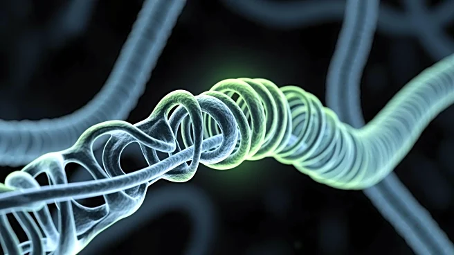 Baylor College of Medicine Unveils Tubulin's Role in Combating Neurodegeneration