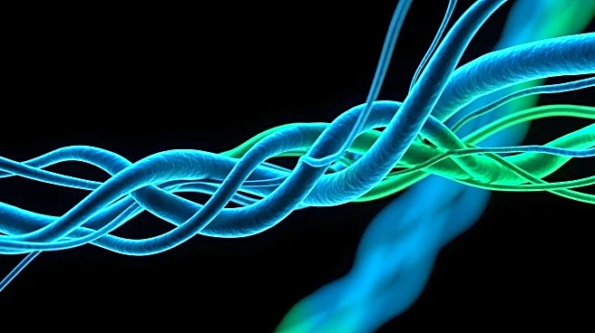 Baylor College of Medicine Unveils Tubulin's Role in Combating Neurodegenerative Diseases