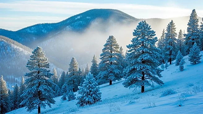 Snowfall in Colorado Foothills Eases Fire Risk Amidst Weather Challenges