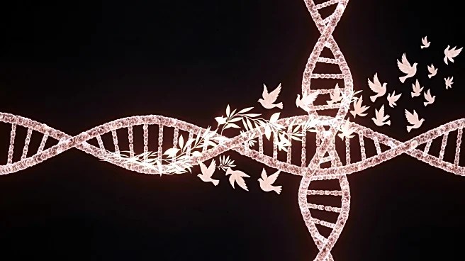 Column Explores Human Nature and War, Suggests Genetic Solutions