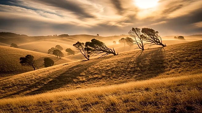 Santa Ana Winds Bring High Fire Risk and Disruptions to Southern California
