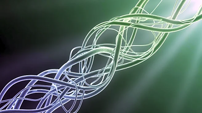 Tubulin Discovery Offers New Hope in Combating Neurodegenerative Diseases