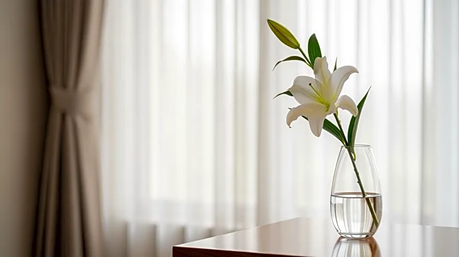 Former U.S. Representative Colleen Hanabusa Passes Away at 74