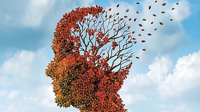 Researchers Explore Immune Therapy as a Promising Treatment for Depression