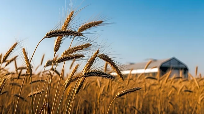 Silal and National Agricultural Center Collaborate to Boost UAE Farmers and Food Security