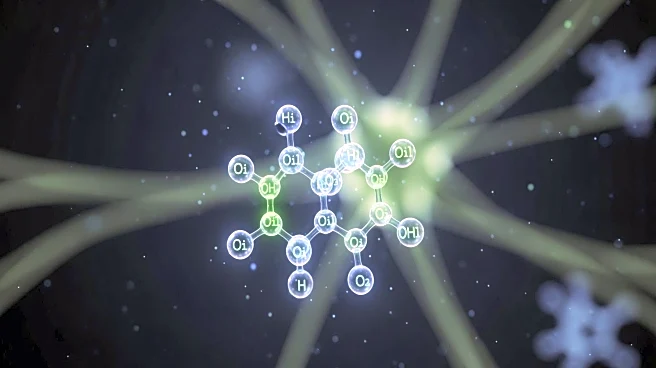 Research Identifies Nitric Oxide's Role in Autism, Suggests New Therapeutic Targets