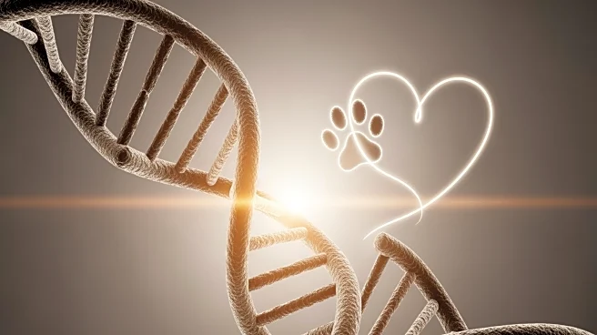 Genetic Factors Influence Human-Pet Bonding, Says Pennsylvania SPCA Advocate