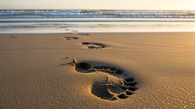 Scottish Couple Discovers 2,000-Year-Old Footprints on Beach, Prompting Archaeological Excavation