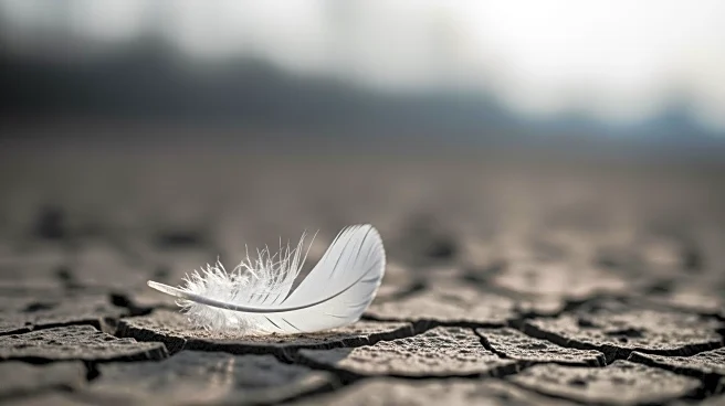 New Jersey Officials Investigate Bird Flu as Cause of Over 4,000 Goose Deaths