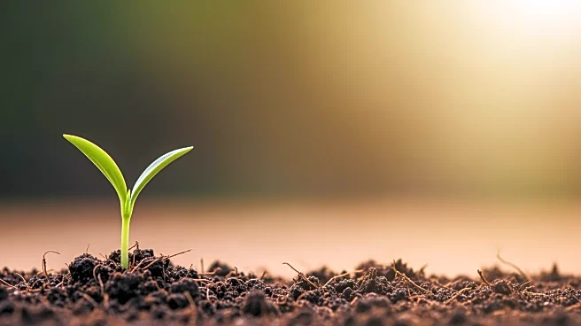 New Fellowship Launched to Empower Women in Agricultural Research Leadership