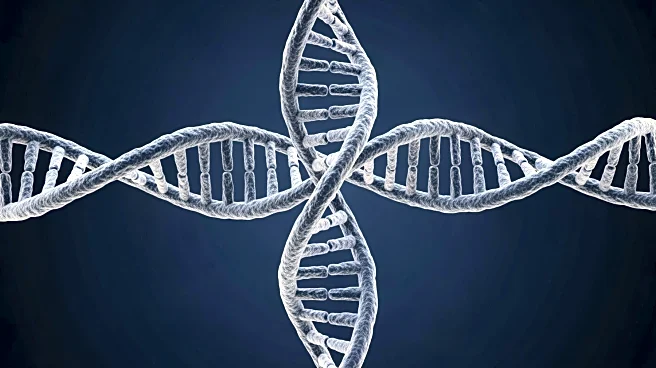 NIAGADS Platform Advances Alzheimer's Research Through Genomic Stewardship