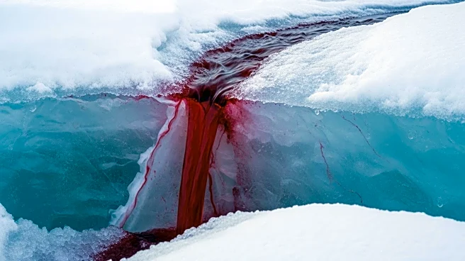 Antarctic Research Identifies Mechanism Behind Blood Falls Phenomenon