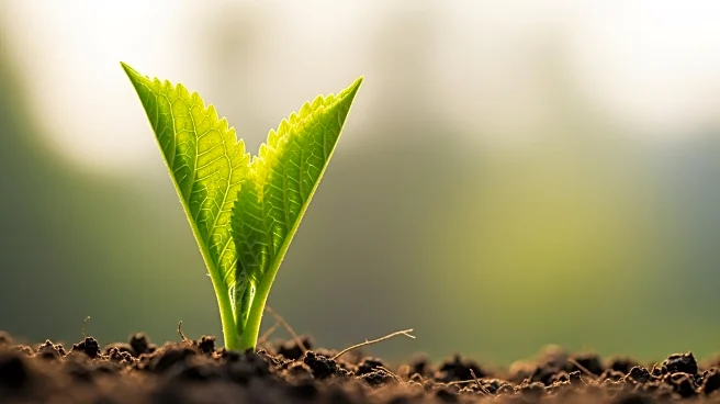 WSSA Honors Outstanding Achievements in Weed Science