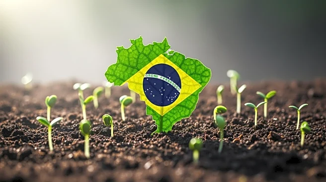 Brazil's Agriculture-Led Climate Plan Aims for Net-Zero Emissions by 2050