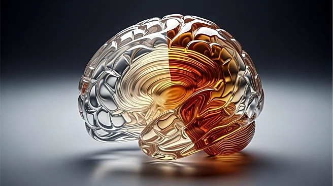 Study Links Higher BMI to Brain Structural Decline, Suggesting Risk for Neurodegenerative Disorders