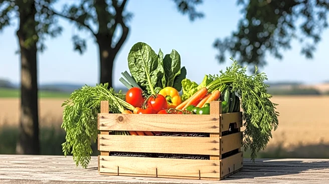 Sonoma County Farm Bureau Hosts Ag Days to Promote Agricultural Education