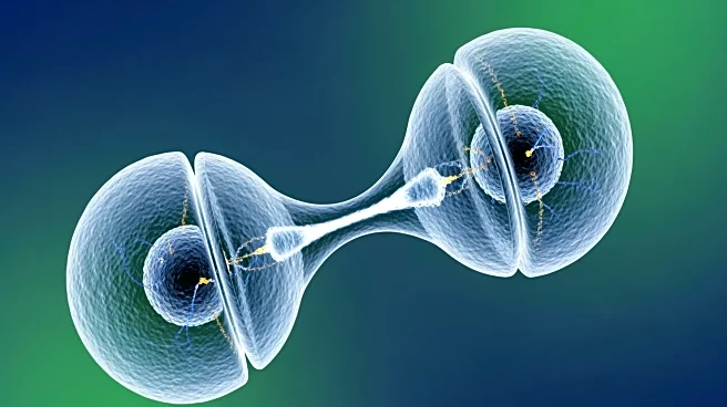 Researchers Simulate Bacterial Cell Division, Advancing Understanding of Life Processes