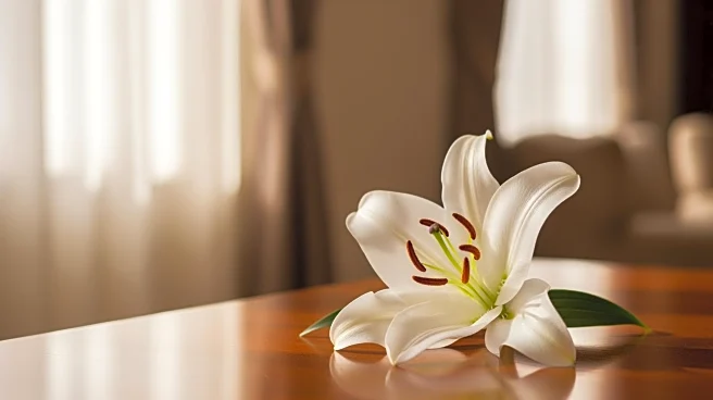 Martha Istvan of Barrington, IL Passes Away at 94