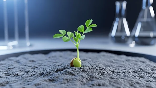 Scientists Successfully Grow Chickpeas in Simulated Lunar Soil, Paving Way for Moon Agriculture