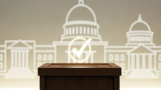 Florida Senate Passes Bill for Voter Citizenship Verification, Limits Acceptable IDs