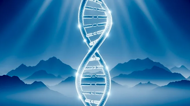 Genetic Mutation from High Altitude Animals Offers New Strategy for Nerve Damage Repair